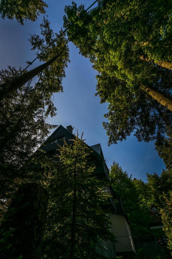 Hotel Smart Sinaia Eksteriør bilde