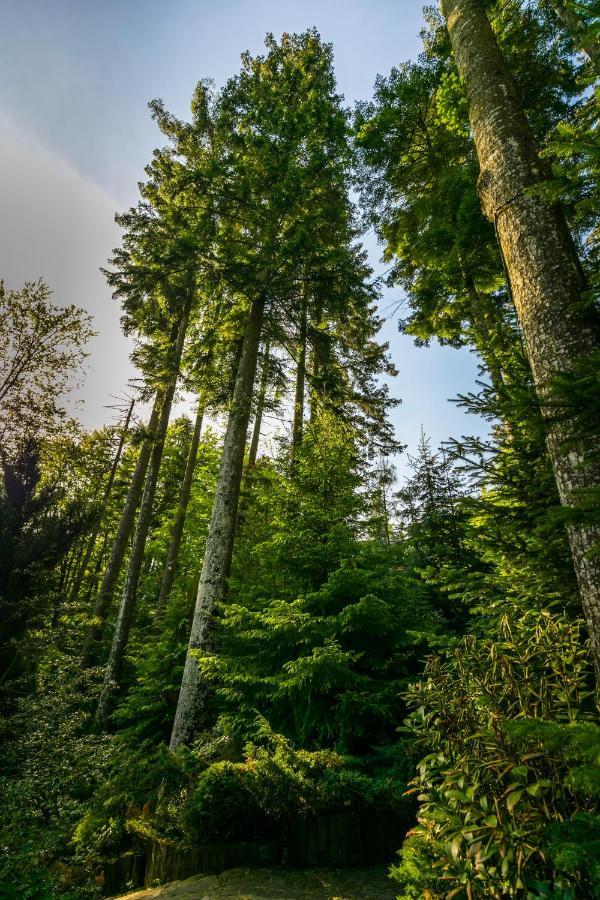 Hotel Smart Sinaia Eksteriør bilde
